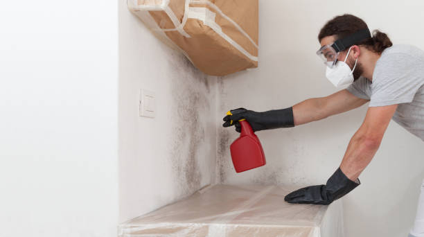 Professional Mold Remediation technician working in Riverside, IL